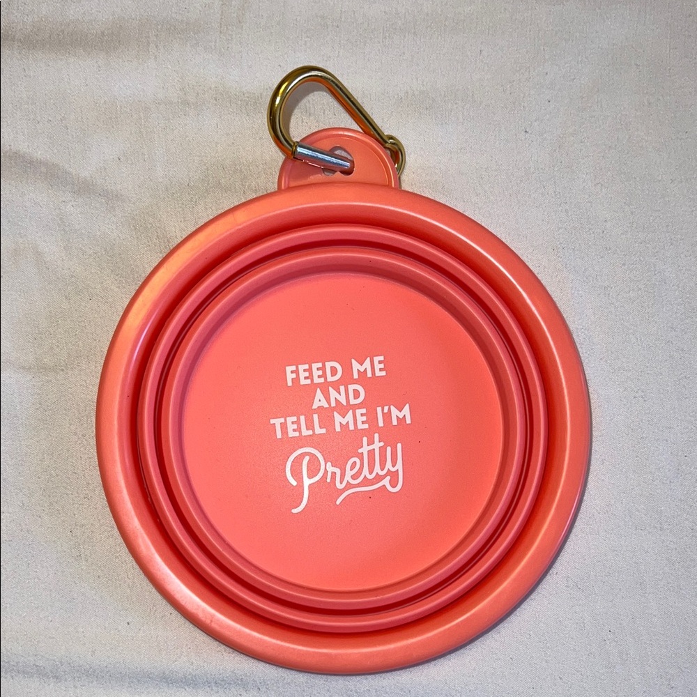 Collapsible Pink Pet Bowl